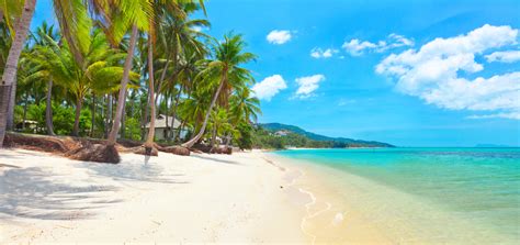 Find the Perfect Beach Villa in Koh Samui - Samui Island VillasSamui Island Villas