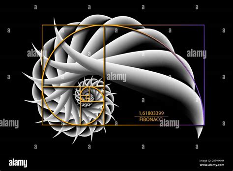 Examples Of The Fibonacci Sequence In Plants SunnyScope, 52% OFF