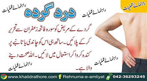 Rehnuma-e-Amliat: Kidney Pain Solution