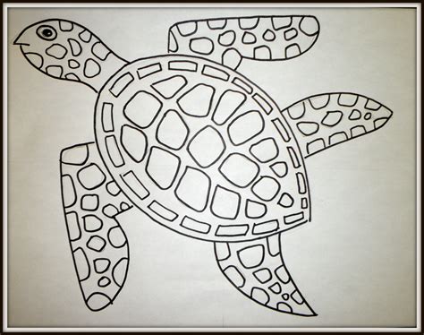 Kids Art Lesson: How to Draw a Sea Turtle - FeltMagnet