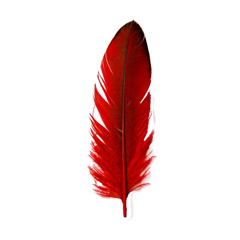 Leaf Northern cardinal Feather, Red Feather, leaf, feather 25320804 PNG