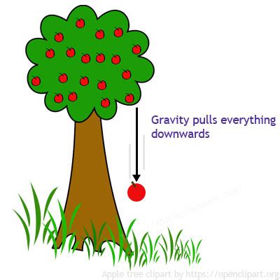 Gravity for Kids | What is Gravity? | Pull of Gravity | Gravitational Pull