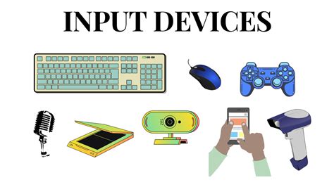 Top 14 Examples Of Input And Output Devices Of Computer