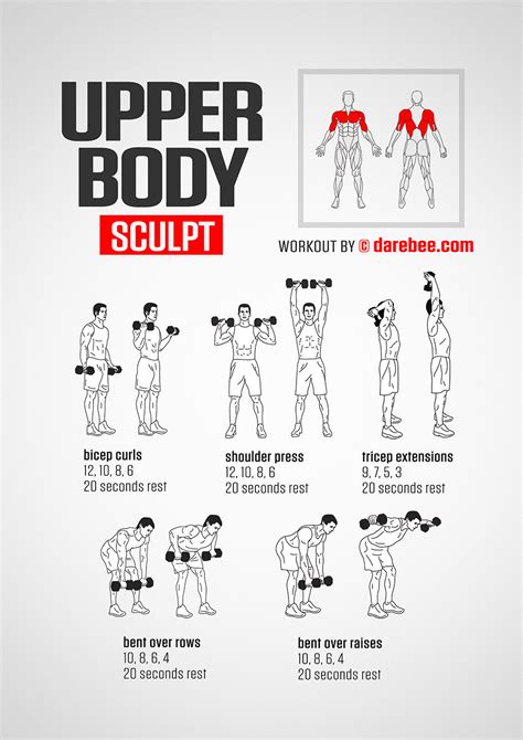 Upper Body Sculpt | Upper body workout gym, Body sculpting workouts, Upper body dumbbell workout