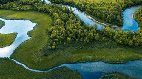 Swamp, river and trees seen from above, Straumbu, Hedmark county, Norway | Windows Spotlight Images