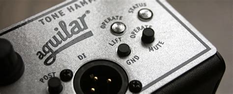 Portable Bass Amp Head Buying Guide | Reverb