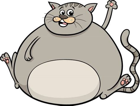 Drawing Of Fat Grey Cat Illustrations, Royalty-Free Vector Graphics & Clip Art - iStock