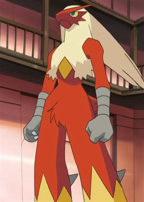 May's Blaziken (anime) | Pokémon Wiki | Fandom powered by Wikia