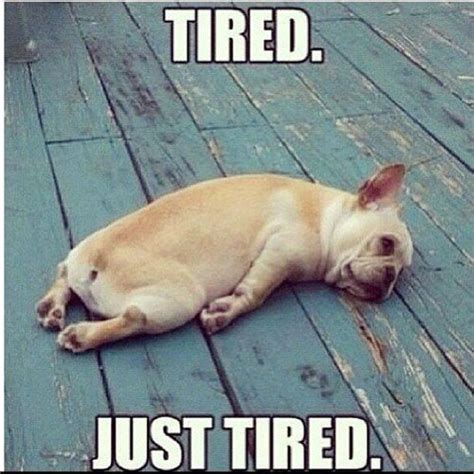 13 Accurate Memes About Being Tired That We Can All Relate To