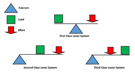 First, second and third class lever system graphic | OER Commons