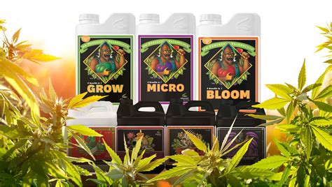 Advanced nutrients feeding schedule autoflower - linelasopa