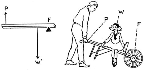 Second Class Lever | ClipArt ETC