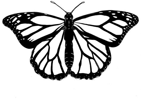 Pin by Paula Jansen on Tekenen / drawing | Butterfly outline, Butterfly clip art, Monarch butterfly