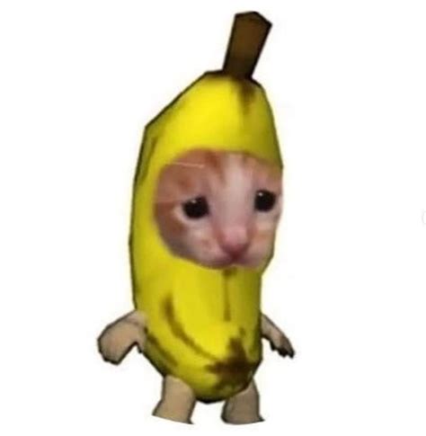 BANANA CATS : r/matchingicons