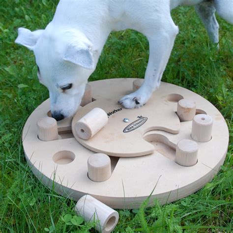 Dog Toys For Smart Dogs | Wow Blog