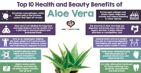 Top 10 Health and Beauty Benefits of Aloe Vera - Live Love Fruit