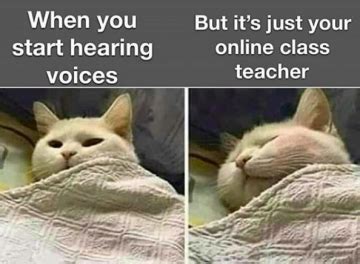 50+ Funny Online School Memes That Every Student Can Relate To