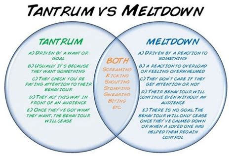 Is it a Meltdown or a Tantrum? - Integrative Counseling Solutions - Cincinnati Counseling and ...