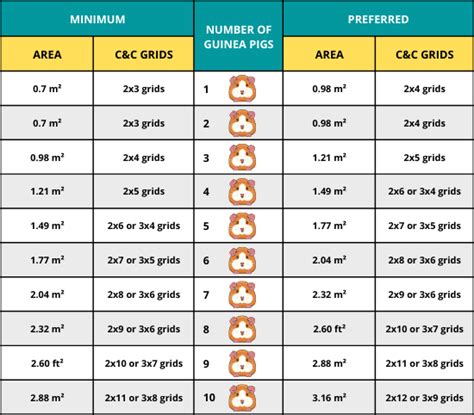 Guinea Pig Cage Calculator & Chart: The Minimum Size Guidelines