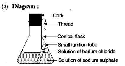 With a labelled diagram describe an actimty to demonstrate "the law of conservation of mass ...