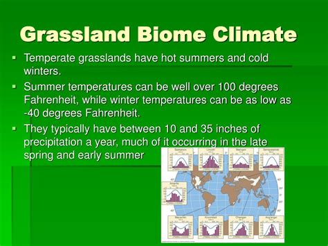 PPT - Grassland Biome PowerPoint Presentation, free download - ID:3789079