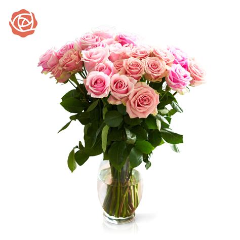 Buy Pink Bi-Color Eyecatcher Roses – Rose Farmers