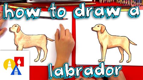 Art Hub Videos How To Draw A Dog - CETDTA