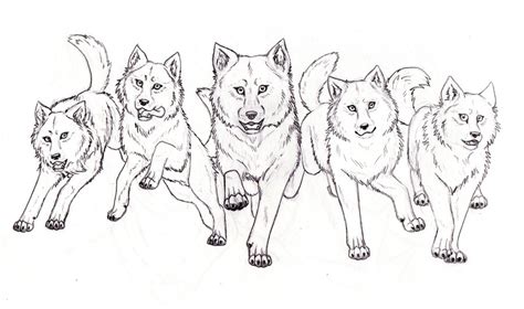 Wolf Pack Sketch at PaintingValley.com | Explore collection of Wolf Pack Sketch