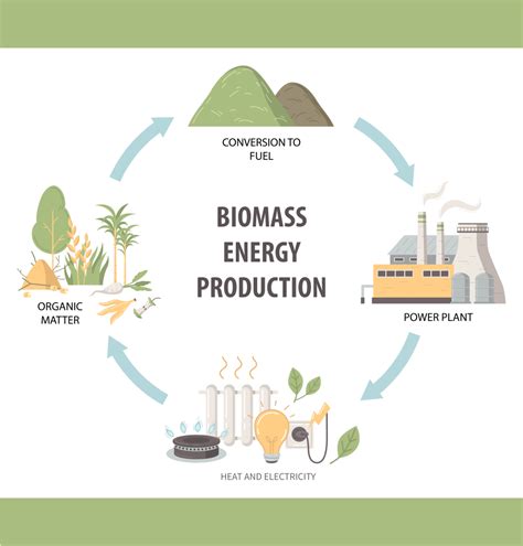 Exploring Energy: Woody Biomass | NEC