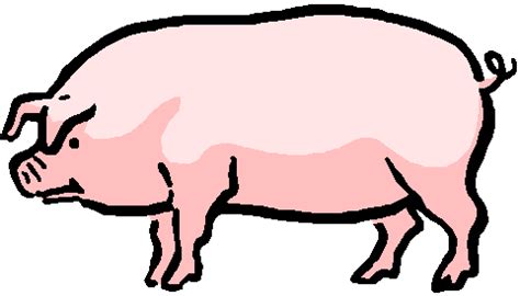 Free Pink Pig, Download Free Pink Pig png images, Free ClipArts on Clipart Library