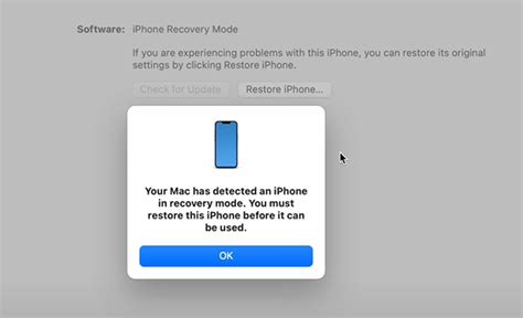 How To Put Your Iphone In Device Firmware Update Dfu Mode | geekflare