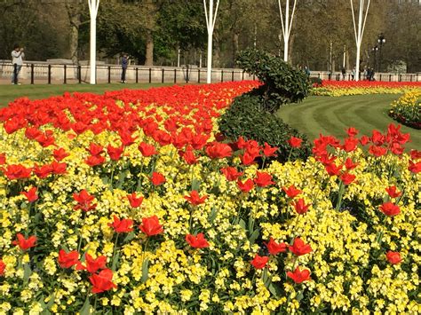 Buckingham Palace Gardens Open Public – Beautiful Flower Arrangements and Flower Gardens