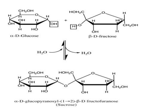 Struktur Sukrosa | Ilmu Kimia