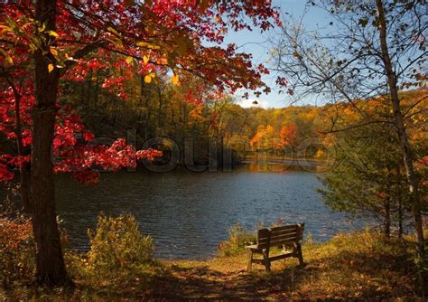 A peaceful Autumn scene with colorful ... | Stock image | Colourbox