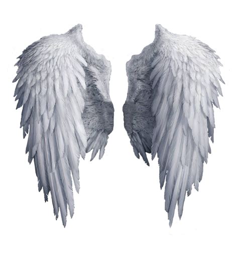 Free Realistic Angel Wings Png, Download Free Realistic Angel Wings Png png images, Free ...