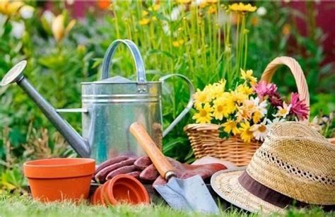 Benefits of Ornamental Gardening - Make My Garden