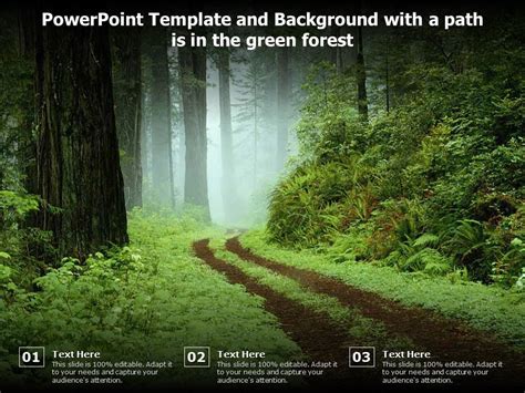 Powerpoint Template And Background With A Path Is In The Green Forest | Presentation Graphics ...