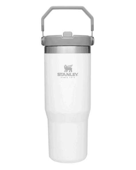 Stanley IceFlow Straw Tumbler 30 fl. oz. - The Buy Guide