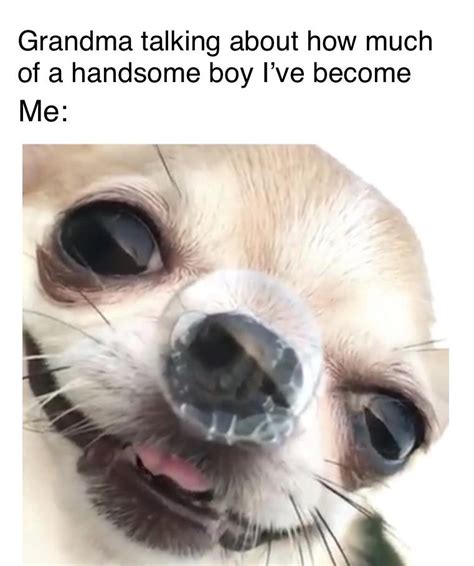 I’m handsome because grandma said so : r/memes