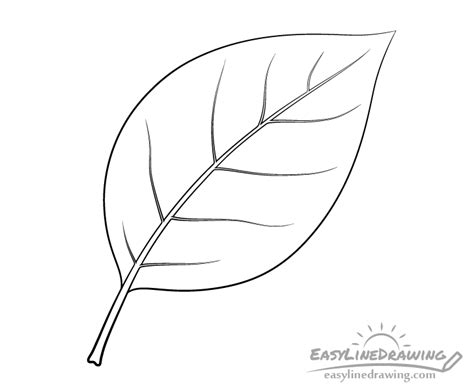 How to Draw a Leaf Step by Step - EasyLineDrawing