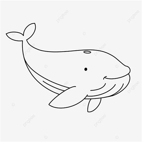 Cute Whale Clipart Black And White, Whale Drawing, Lip Drawing, Black And White Drawing PNG ...