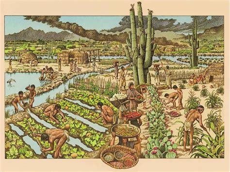 Learn about Hohokam irrigation canals at Historical Society presentation | InMaricopa