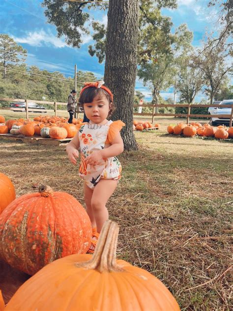 Pumpkin patch photoshoot 🧡 | Pumpkin patch photoshoot, Pumpkin patch, Photoshoot