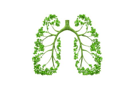 Cheyne-Stokes breathing: Definition & how to treat - ResMed