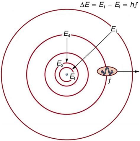 Bohr’s Theory of the Hydrogen Atom | Physics