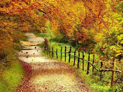 wallpapers: Beautiful Autumn Scenery Wallpapers