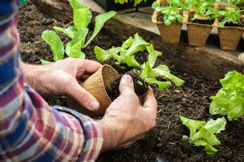 How to Make Gardening at Home More Eco-Friendly