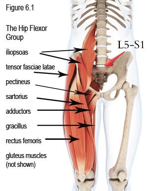 Tight Hip Flexor Pain & Help - Low Back Pain Program