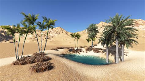 Desert Oasis Wallpapers - Top Free Desert Oasis Backgrounds - WallpaperAccess