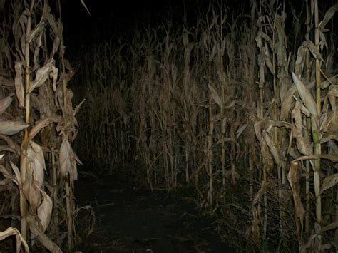 Haunted Corn Maze Near Me 2024 - Reyna Charmian